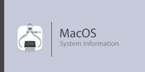 See MacOS System Information without logging in